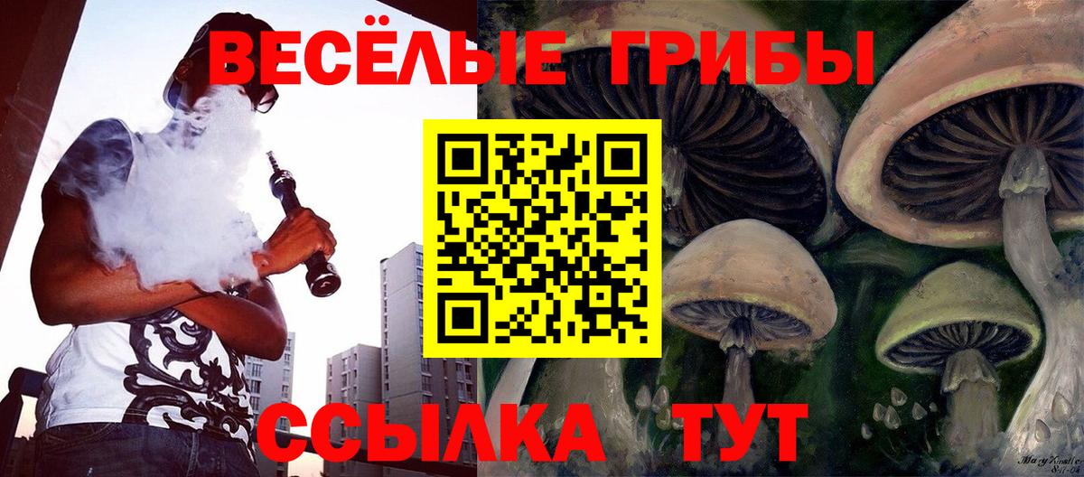 Галлюциногенные грибы прущие грибы  Псилоцибиновые грибы Psilocybine cubensis  Вход с VPN  Майский 